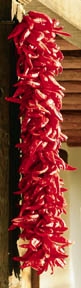 848-3FT-RISTRA