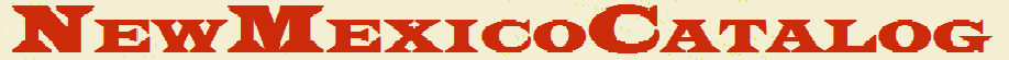 FINAL NMC LOGO