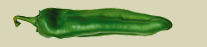 ORGANIC MEDIUM CHILE